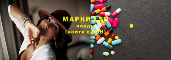 прущий лед Алзамай