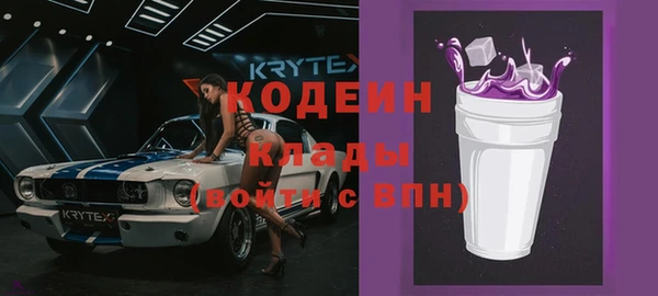 прущий лед Алзамай