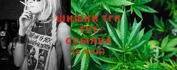 прущие грибы Нефтекумск