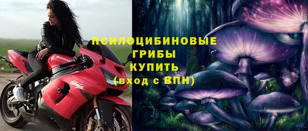 крисы Нефтегорск