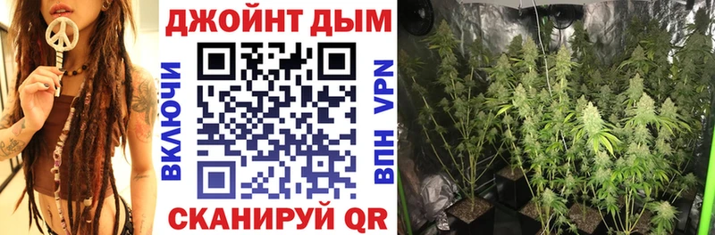 Каннабис конопля  наркотики  Кирс 